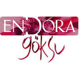 ENDORA GÖKSU EVLERİ
