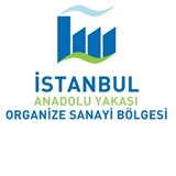 İSTANBUL ANADOLU YAKASI ORGANİZE SANAYİ BÖLGESİ